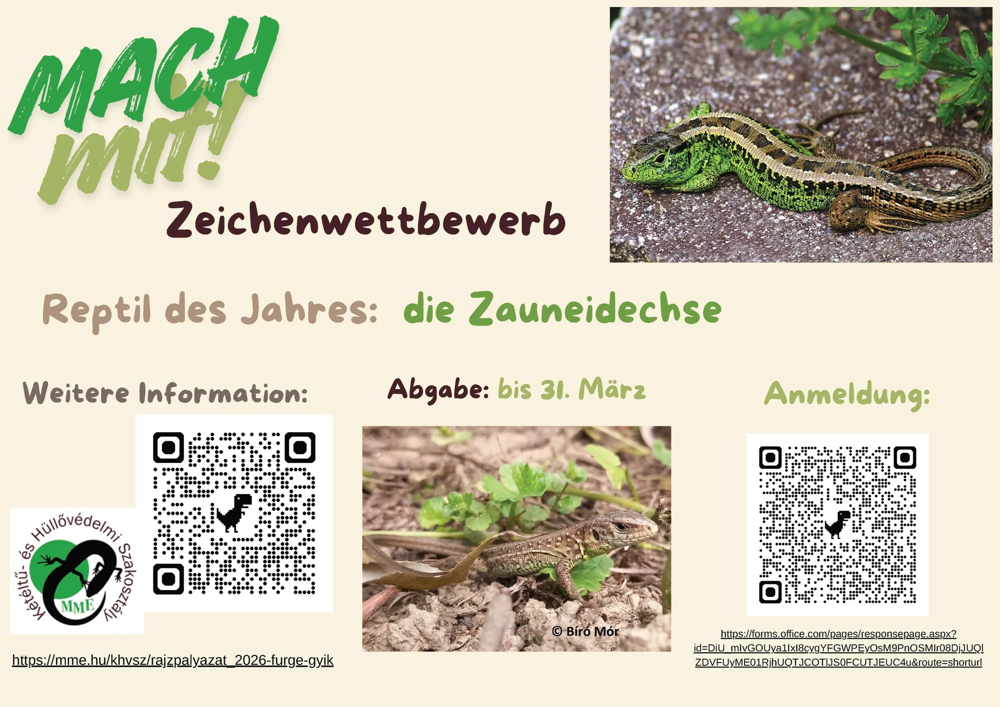 Reptil des Jahres 2026 Zeichenwettbewerb deu