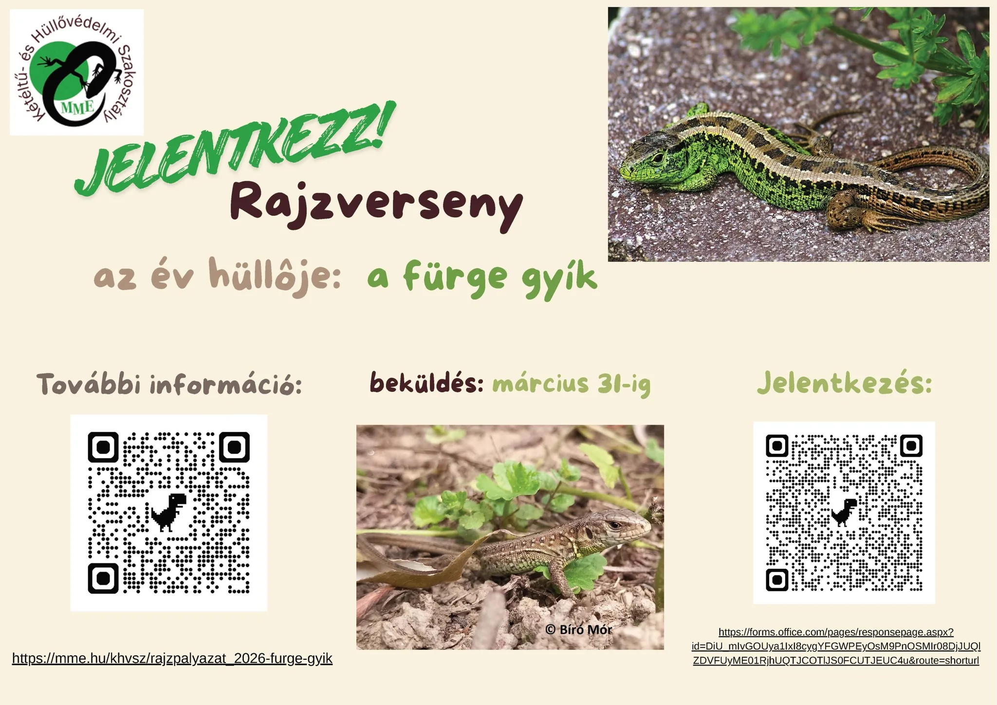 Reptil des Jahres 2026 Zeichenwettbewerb ung
