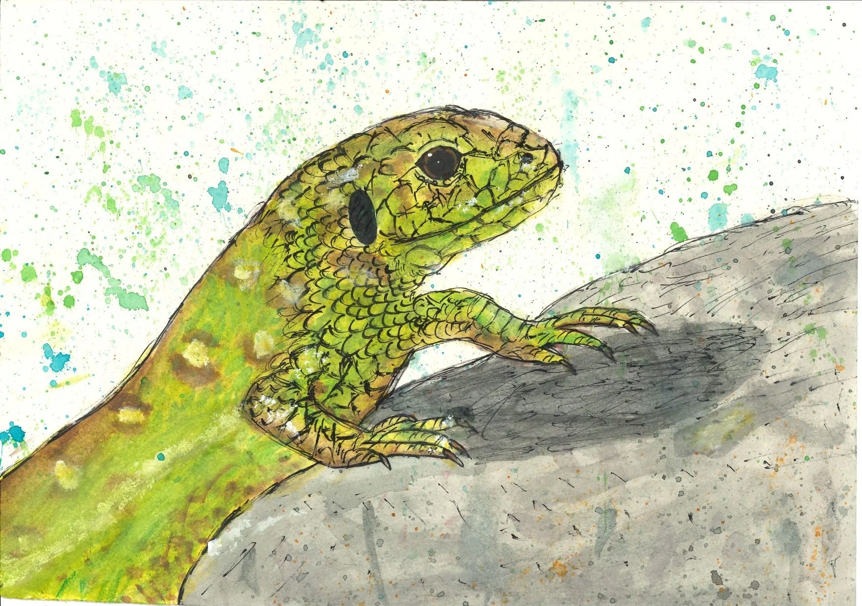 26 04 13 Pápai Julcsi Reptil des Jahres