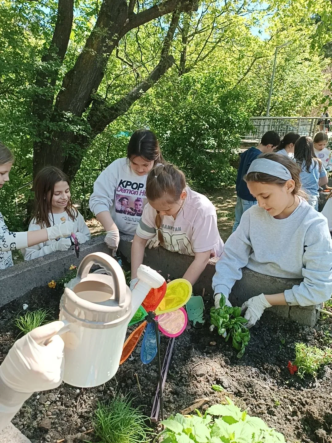 26 05 04 Nachmi Magaságyás (4)